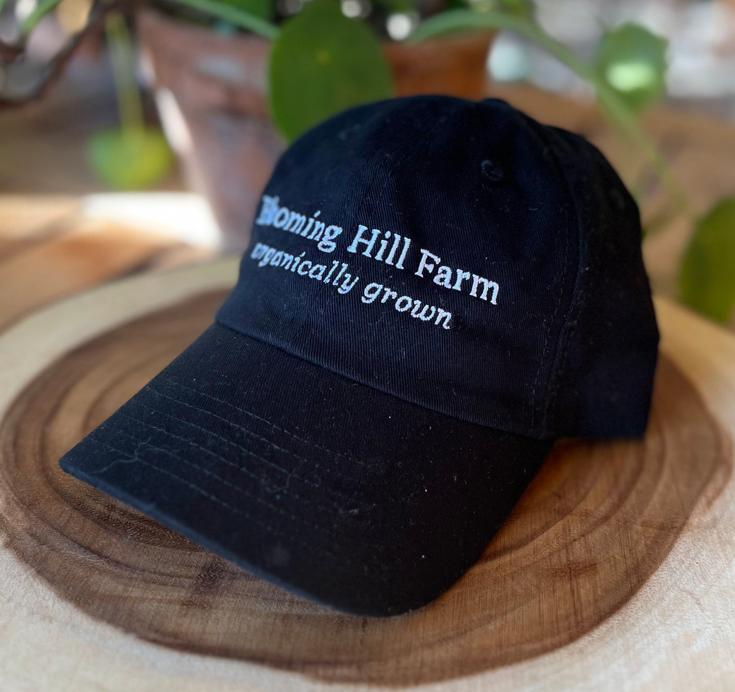 Baseball Cap