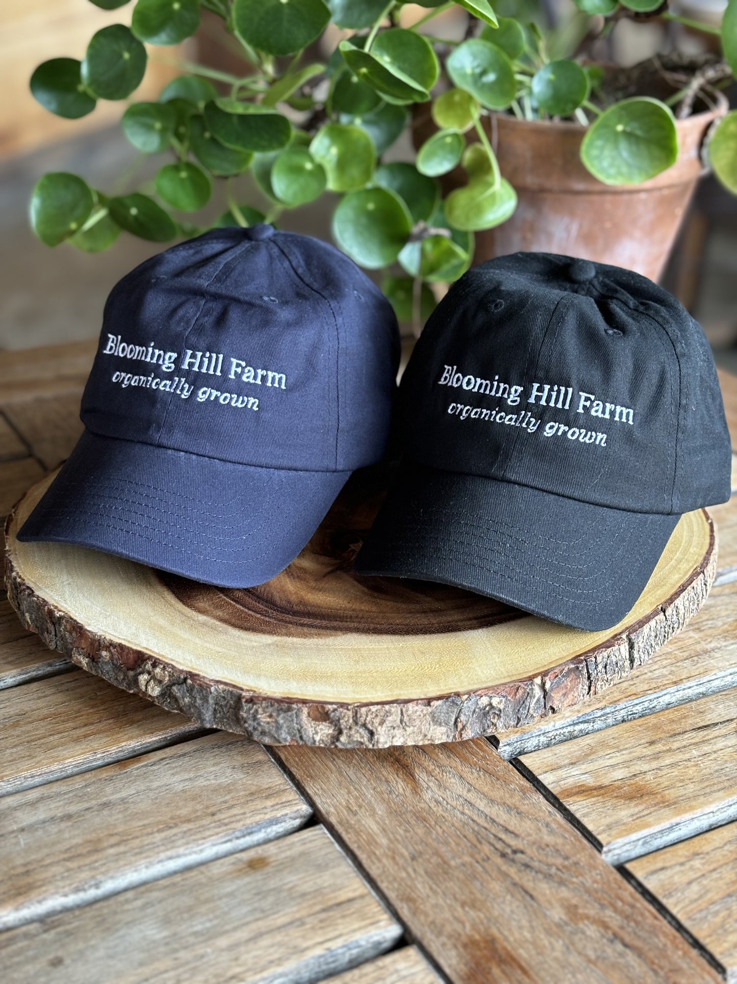 Baseball Cap