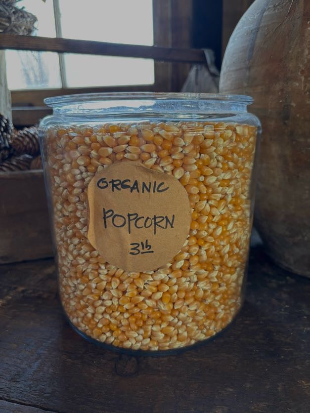 Organic Yellow Popcorn- Dried, 3lb