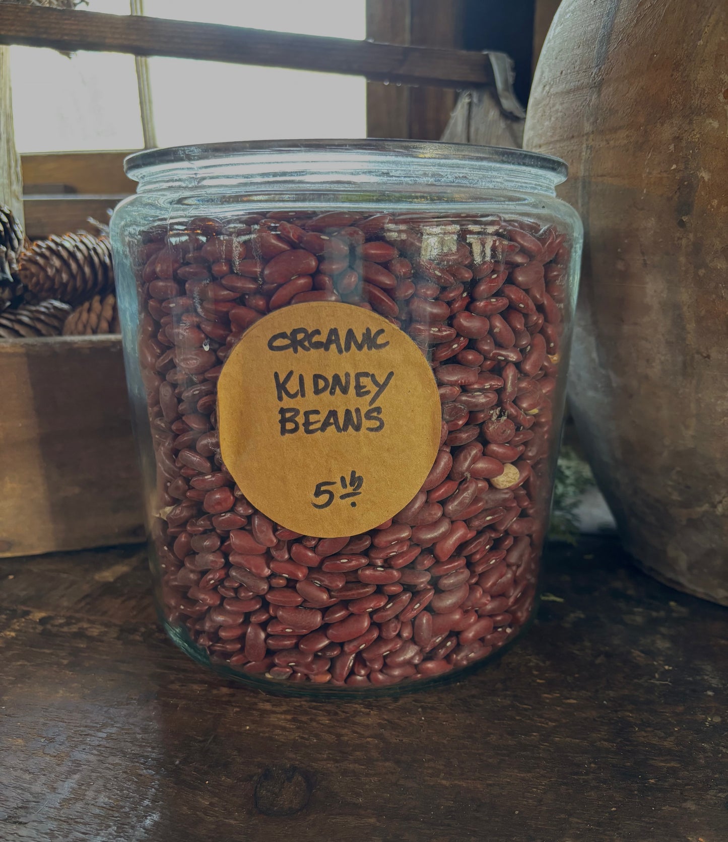 Organic Red Kidney Beans- Dried, 3lb