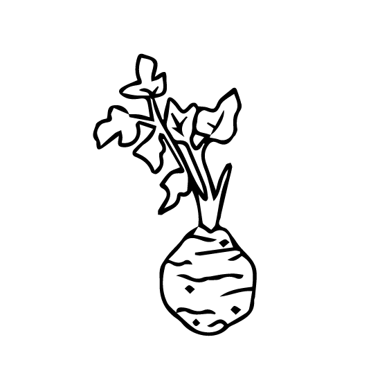 Winter Vegetable Gratin