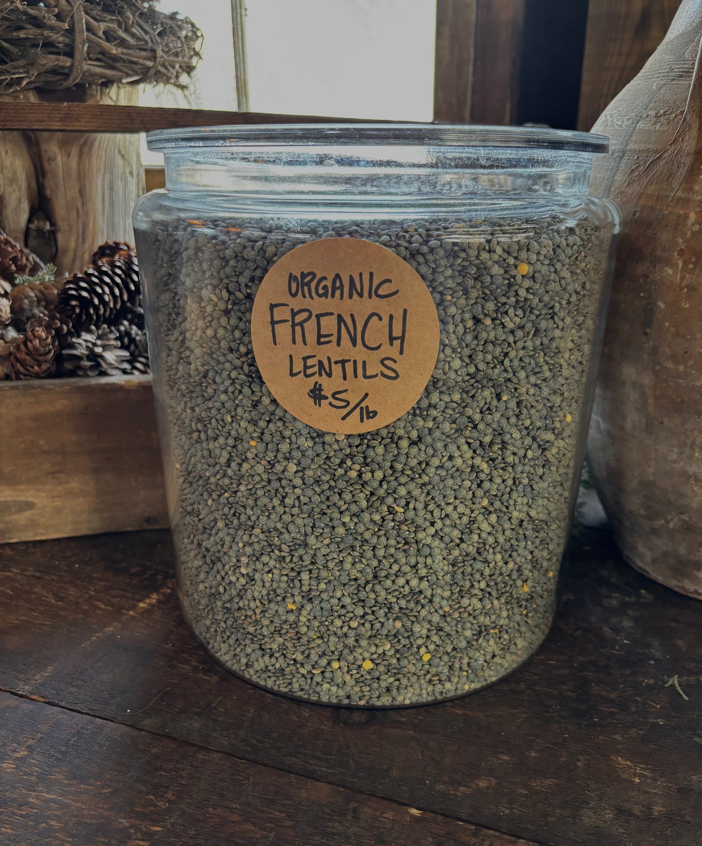 Organic French Lentils- Dried, 3lb