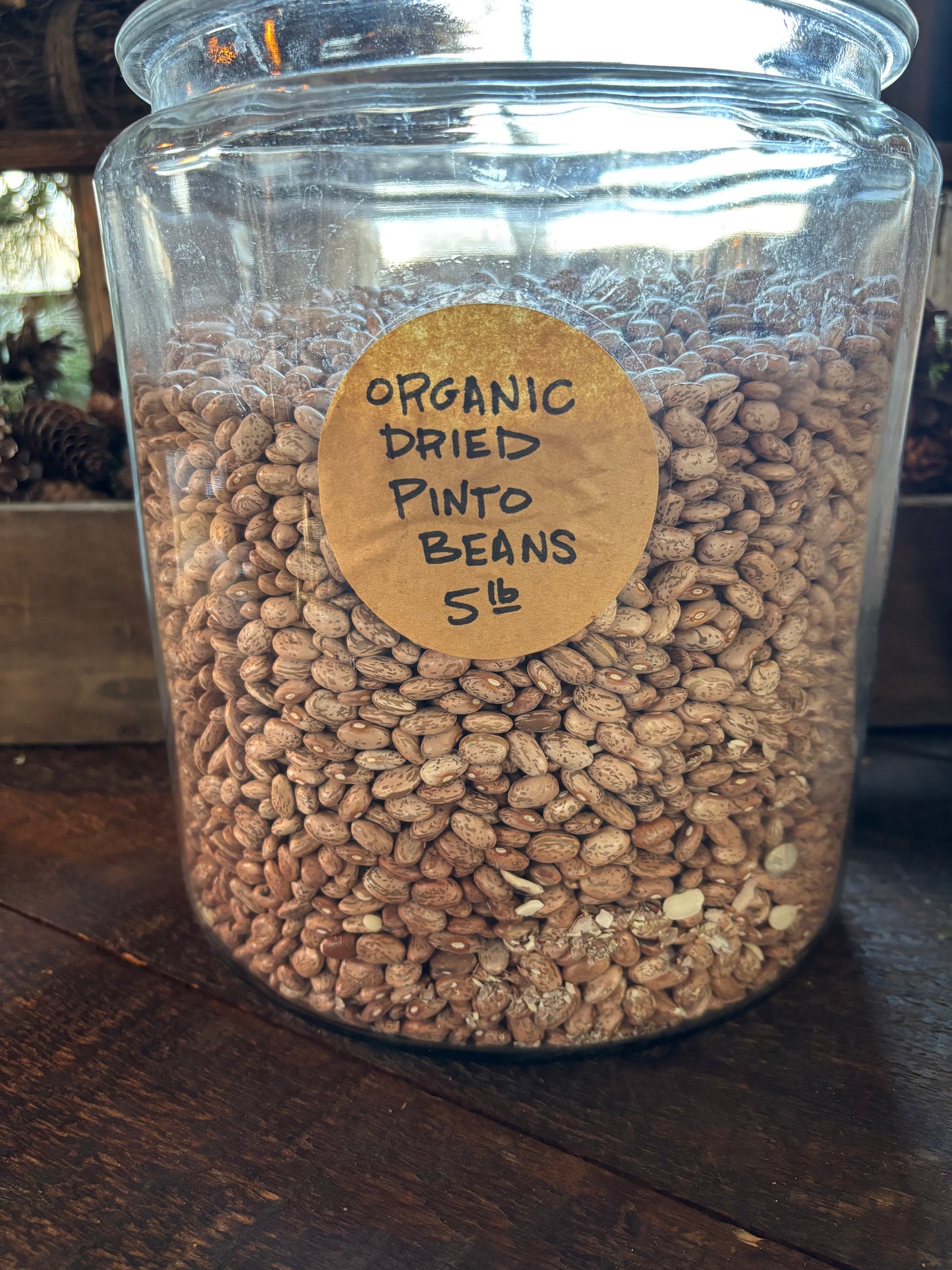 Organic Pinto Beans- Dried, 3lb